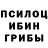 Галлюциногенные грибы Psilocybe Mr. Papuasik